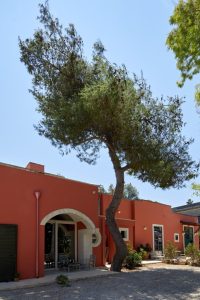 VisaTravel 37 Petra Country House: Pasticciotto and Local Wine