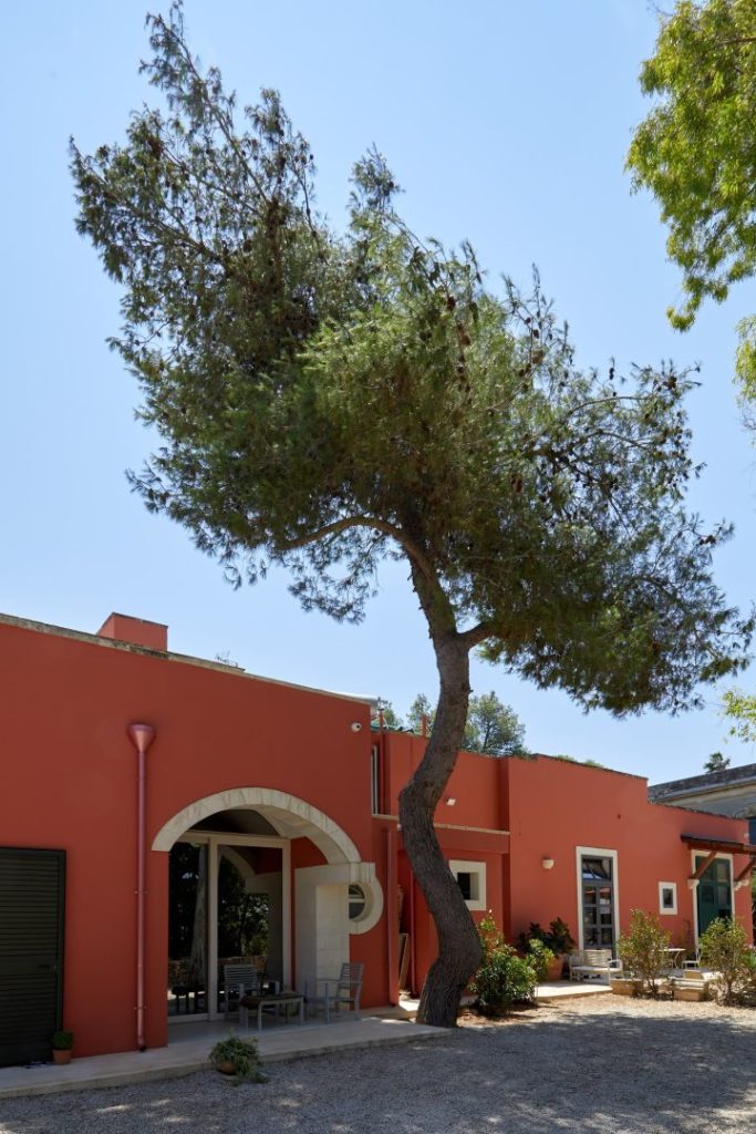 Petra Country House: Pasticciotto and Local Wine